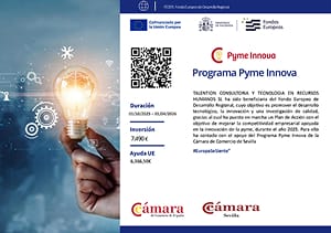 Programa Pyme Innova