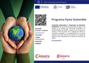 Programa Pyme Sostenible