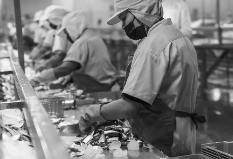 Transformamos tus procesos en **experiencias de aprendizaje**